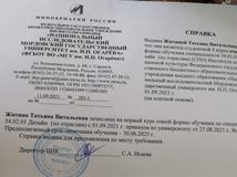 2021г Житина Татьяна. Институт национальной культуры дизайн